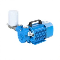 Penjualan Langsung Pabrik Cavitt Pompa Anti Ledakan 220V 750W Pompa Bensin Elektrik dengan Berbagai Nozel Bahan Bakar