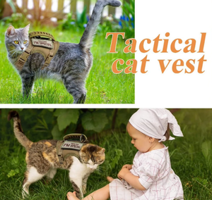 Ayarlanabilir açık taktik kedi koşum yelek tipi çekiş halat anti-ayrılıkçı Polyester köpek zinciri katı desen küçük köpek tasma - Product Image 6