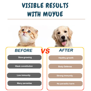 Suplemento Natural para Perros y Gatos con Etiqueta Privada OEM, Golosinas Masticables Suaves para la Alergia y la Picazón, Refuerzan la Salud del Sistema Inmunológico, Seguro y Rápido - Product Image 4