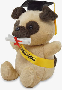 Juguete de animales de peluche con logotipo personalizado, koala de peluche de juguete para mascota, recuerdo de Graduación - Product Image 2