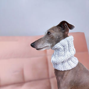 Qiqu Pet Supplies – Nouveau cache-cou et bonnet pour chien, <span class=keywords><strong>tricoté</strong></span> à la <span class=keywords><strong>main</strong></span>, design personnalisé, pour lévrier italien et whippet - Product Image 5