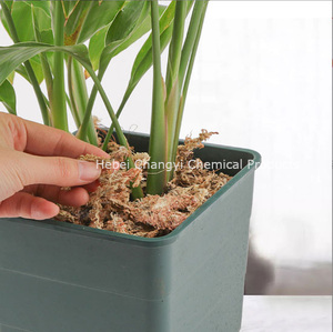 Trực Tiếp Trung Quốc Tùy Chỉnh Số Lượng Lớn Cao Cấp Tự Nhiên Sphagnum Than Bùn Rêu Thân Thiện Với Môi Hấp Thụ Nước Hiện Đại Nhà Máy Bò Sát Tăng Trưởng - Product Image 2