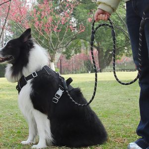Strong Sturdy Comfortable Durable <b>Dog</b> Slip Rope <b>Leash</b> with Ribbons Premium Quality Nylon Reflective Mountain Climbing Lead - Product Image 3