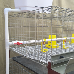 Punto automatizzato di H tipo piccola gabbia di pollo galvanizzata importato per 35000 uccelli pollo per la fattoria - Product Image 6