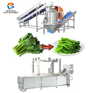 Continuous Dehydrating Processing Line Vegetable Dehydrating Machine Dewatering Machine