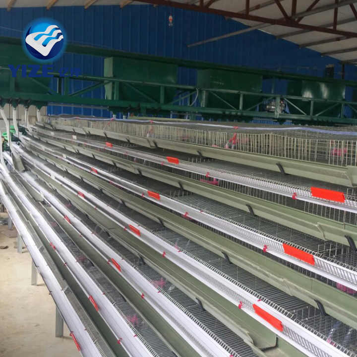 6 Tier Layer Egg Quail Cages Metal Quail Cage For Sale In Philippines