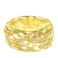Neue Weihnachtslichter Led Led-Lederlinienlichter Indoor-Outdoor-Wasserdichte Lampe mit Fernbedienung