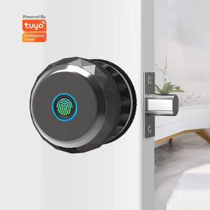 <span class=keywords><strong>3</strong></span> अनलॉक-1 तरीके से बायोमेट्रिक फिंगरप्रिंट ऐप कंट्रोल रूम के लिए स्मार्ट बॉल नॉब कीलेस दरवाजा लॉक - Product Image 1