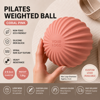 Bola Berbobot Besi Cor Silikon Kustom 1kg 1500g 85mm Dumbbell Genggam untuk Wanita Latihan Lengan, Inti Tubuh, Pilates, Yoga