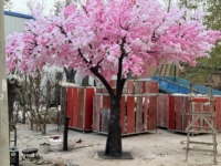 Arbre artificiel de cerisier Bagang, fleurs roses, présentoir en verre et plastique, décoration intérieure pour mariage