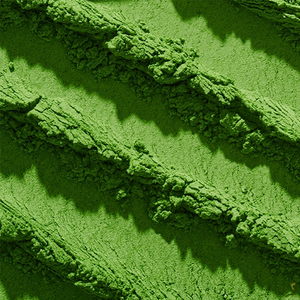 Matcha en Polvo Fresco de Grado Ceremonial, Directo de Fábrica, Marca Privada, Certificado Orgánico <span class=keywords><strong>MOA</strong></span>, Estilo Japonés, en Bolsa/Caja, 24 Meses de Duración - Product Image 3