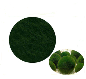 Chất lượng cao bán buôn/Chlorella vulgaris Chlorella bột - Product Image 3