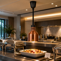 Lampe chauffante suspendue commerciale pour le maintien au chaud des aliments dans les hôtels, restaurants, buffets et stations de découpe, avec ampoule incluse