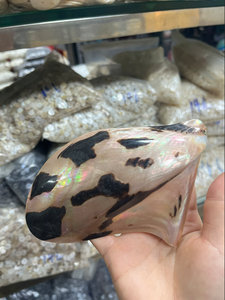 Thiên nhiên tròn dày khói đen đen 2 lỗ nút áo 4 lỗ 14L 16L 18L 20L tấm trà nút vỏ Chim Cánh Cụt - Product Image 5