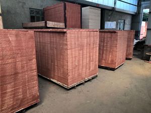 Tablero de hoja de 18mm Película impermeable Cara Fenol Lista de precios laminada de doble cara Abedul 3mm - Product Image 4