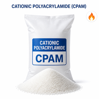 Poudre de floculant cationique PAM CPAM pour le traitement de l'eau et des boues