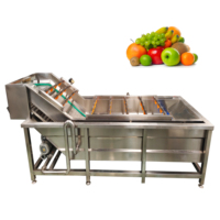 VBJX Kommerzielle Automatische Elektrische Blasenwasch- und Trocknungsmaschine für Ingwer, Kartoffeln, Obst und Gemüse