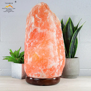 Lámpara <span class=keywords><strong>de</strong></span> <span class=keywords><strong>sal</strong></span> del Himalaya <span class=keywords><strong>de</strong></span> 7 pulgadas con cable <span class=keywords><strong>de</strong></span> atenuación-Luz nocturna Cristal natural Roca Base <span class=keywords><strong>de</strong></span> madera clásica Auténtica <span class=keywords><strong>de</strong></span> Pakistán - Product Image 1