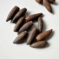 Pods de Canoinha Naturels pour Aquarium, Cachette pour Poissons et Crevettes, Décoration d'Aquascape en Eau Noire
