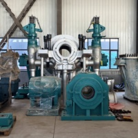 Groupe électrogène à vapeur à biomasse de balles de riz pour projets d'utilisation énergétique des centrales de chaleur