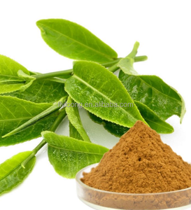 Extrait de thé vert séché de haute qualité sans caféine, 95% de polyphénols, 75% de catéchines, 45% d'<span class=keywords><strong>EGCG</strong></span>, additifs alimentaires naturels biologiques - Product Image 1