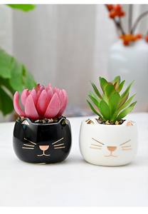Vaso di fiori in ceramica, Mini vaso di cartoni animati per gatti, decorazione per interni succulenta, commercio all'ingrosso (pianta non inclusa) - Product Image 5