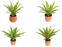 Fougère artificielle en pot de ciment de 55 cm - Plante décorative d'intérieur