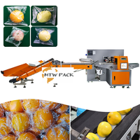 MTWPACK Machine à emballer automatique à oreiller horizontal pour fruits et légumes