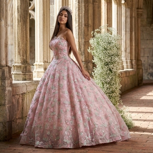 Lsany245 Vestido de Noche de Maternidad Moderno y Elegante, Estilo Princesa, Rosa Dulce, con Apliques 3D, de Lujo, con Cola de Capilla, ¡Gran Venta! - Product Image 1