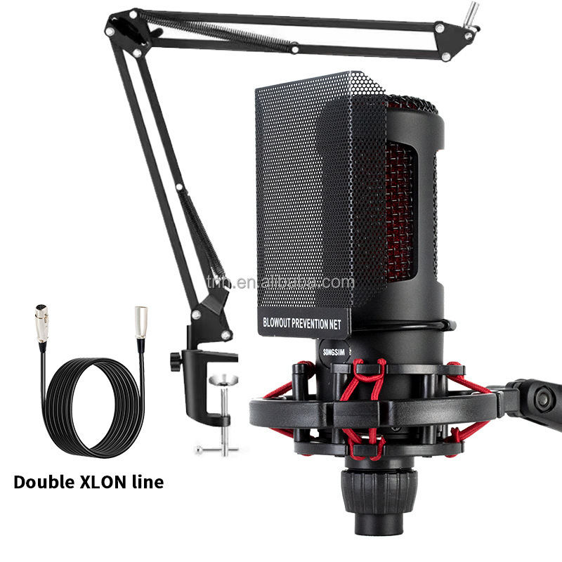 TNH CM- ZX2020 Condenser Microphone Studio Recording Mic Computer
