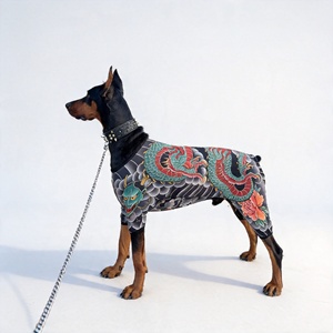 ชุดจั๊มสูท<span class=keywords><strong>ลา</strong></span>ยสักสำหรับสัตว์เลี้ยง - ชุดป้องกันแสงแดดสำหรับสุนัข ระบายอากาศได้ดี น้ำหนักเบา คุณภาพส่งออก - Product Image 6