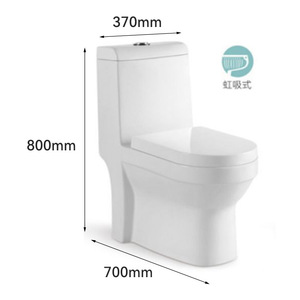 WC monobloc en céramique à siphon, à poser au sol, blanc, modèle 8208 8210 8211 - Product Image 4