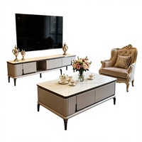 Ensemble de meubles de salon Nodric Light Luxury, table basse TV avec plateau en marbre, style nordique, table centrale pour usage domestique
