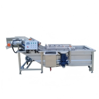 Industriële fruit- en groentewasmachine voor het reinigen van aardbeien, bosbessen en kersen