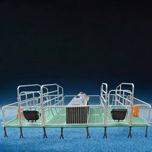 Équipement porcin à haute efficacité et bâtiment d'élevage porcin avec personnalisation pour divers scénarios d'élevage porcin - Product Image 6