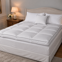 Surmatelas en coton de style hôtel 5 étoiles, épaissi, chaud, respirant, lavable, anti-acariens, antibactérien, usage hospitalier