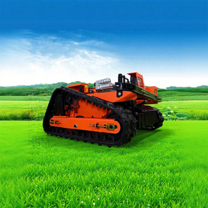 Pièces de pelouse Rc prix arbuste Offre Spéciale d'exportation de Chine tondeuse à moteur personnalisée à faible coût - Product Image 2