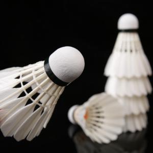 Shuanglang n. 6 volano da Badminton, utilizzato per sport all'aperto e allenamento agonistico, volano Super resistente con piume d'anatra - Product Image 6