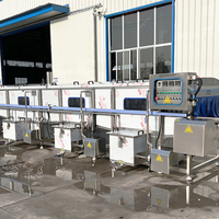 YouBan Équipement Intégré de Pasteurisation Automatique par Tunnel et de Refroidissement par Pulvérisation pour Bouteilles en Verre, Boissons et Produits en Conserve