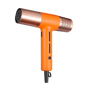 2024 Secador de cabelo profissional BLDC iônico de alta velocidade modelador de cabelo multifuncional poderoso LED com motor de 110000 rpm