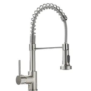 Camper Laundry Utility Travel Brushed Nickel Single Handle luxury pull kitchen faucet sprayer