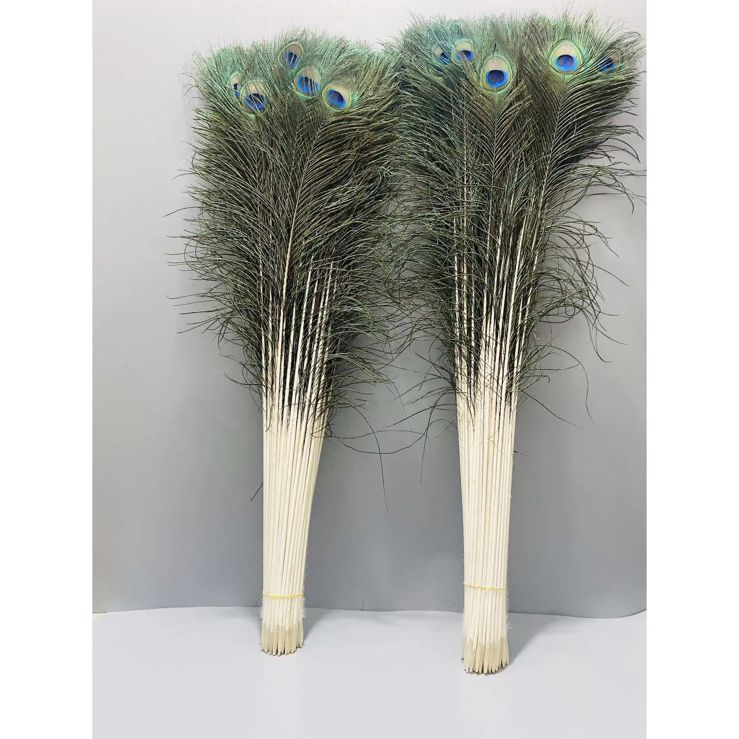 Cheap sale big stock All Long natural artificial Indian peacock tail Feathers for Festival costumes DIY decoration