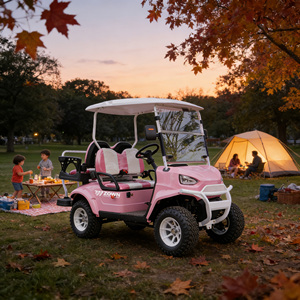 Voiturette de golf électrique 4 places homologuée pour la route, pour les terrains de golf et l'utilisation communautaire - Product Image 1