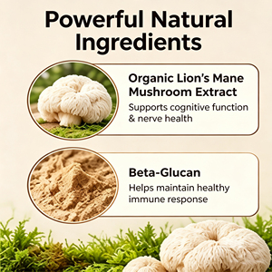 Complément alimentaire biologique à base de champignons Lion's Mane avec vitamine B12 pour soutenir la cognition et le système nerveux des chats et des chiens - Product Image 4