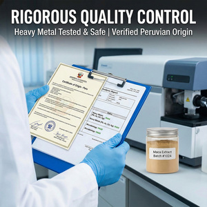 Extracto Natural de Macamidas 0.6%/1% Macaenes Peruanos para Energía y Resistencia, <span class=keywords><strong>en</strong></span> <span class=keywords><strong>Polvo</strong></span> Líquido Soluble <span class=keywords><strong>en</strong></span> Agua, Grado Alimenticio - Product Image 5