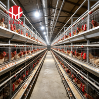 Nouvelle Conception, Cage à Poulets Automatique, Équipement Avicole, Poulailler pour Poules Pondeuses, Système de Cage - Vente Chaude