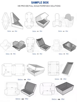 Fully Automatic Disposable Take Away Tray Food Boxes Making Machines Triangle Pizza Box Forming Machine