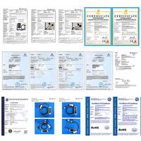 Adaptateur de décharge Zencar GBT vers prise Schuko UK V2L 10A 13A 16A 3.6kW 250V Connecteur EV pour véhicule électrique GB/T