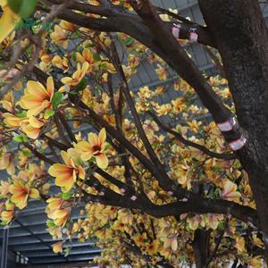 Personalizado hecho a mano Artificial grande 3,5 m 4m amarillo falso Magnolia árboles para escuelas hospitales hogares de ancianos biblioteca museos - Product Image 3