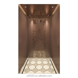 Ascensore Domestico di Lusso in Offerta Speciale, Elevatore per Villa con Installazione Rapida, 220 Volt, per Appartamenti fino a 5 Piani - Product Image 1